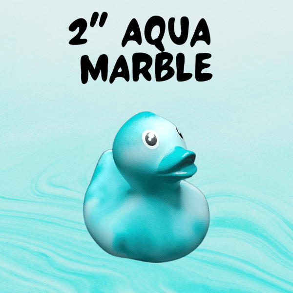 2 inch aqua marble duck