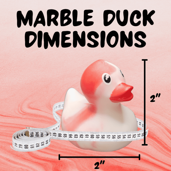 Marble duck dimensions are 2 inches each