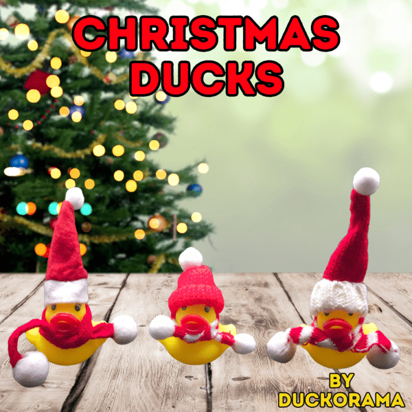 Duckorama Christmas Ducks