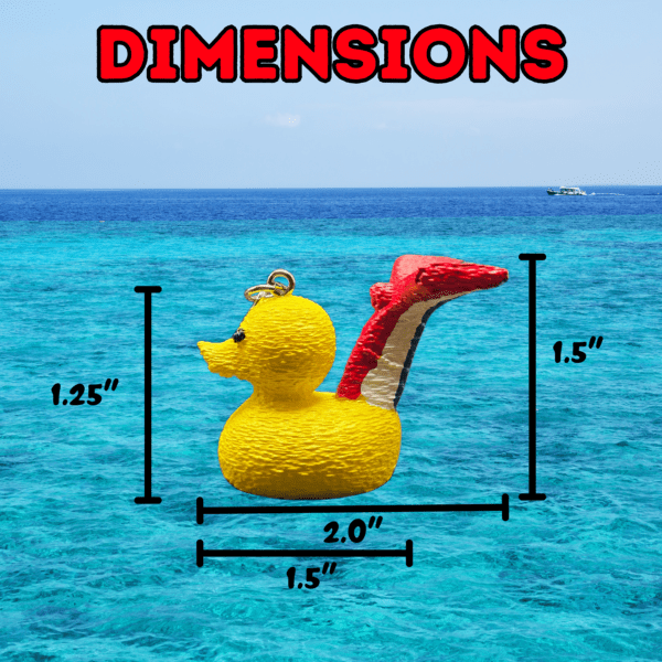 Duck with Cruise Tail Dimensions