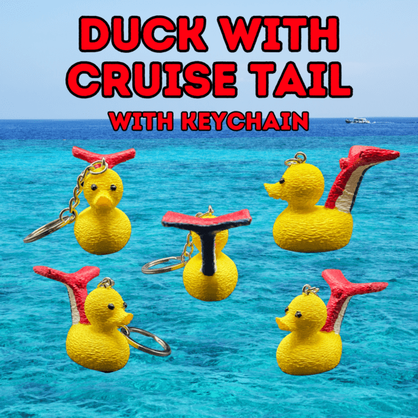 Duck with Cruise Tail